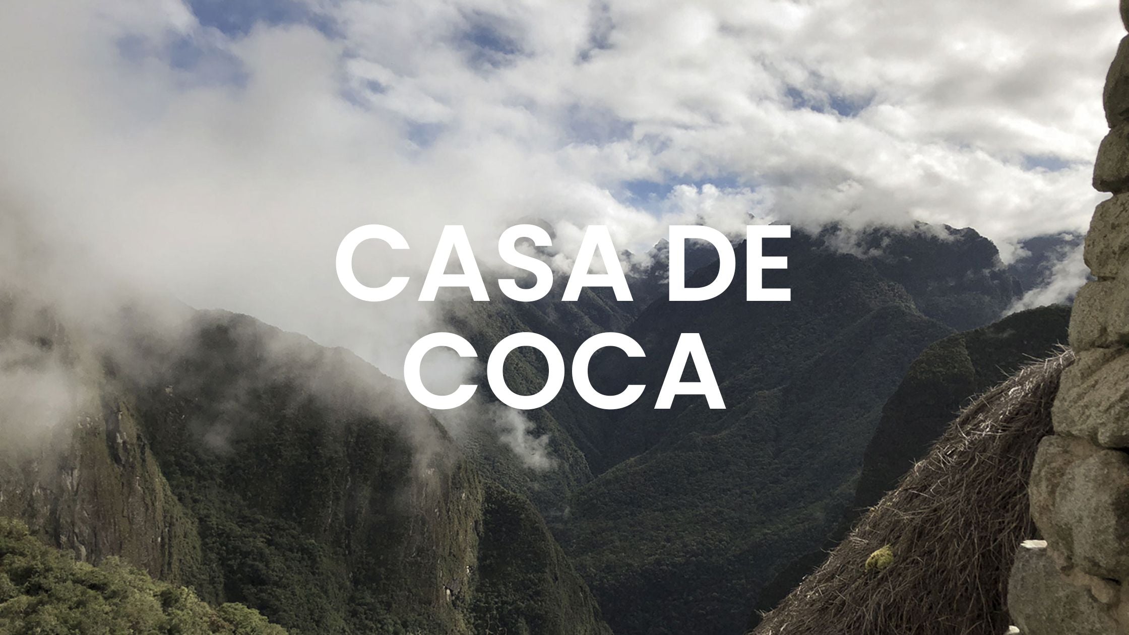 Noche de Coca Casa de Coca perfume - a fragrance for women and men 2021